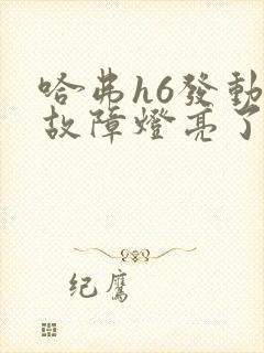 哈弗h6发动机故障灯亮了怎么回事