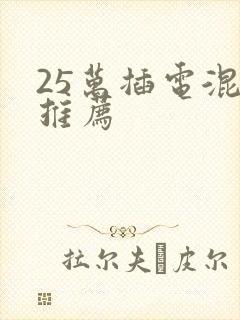 25万插电混动推荐