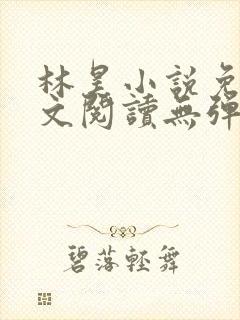 林昊小说免费全文阅读无弹窗