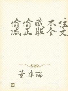 偷偷藏不住无删减正版全文阅读免费