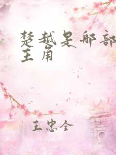 楚越是哪部小说主角