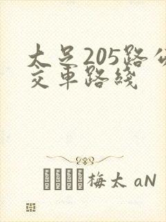 大足205路公交车路线 大足205路公交车路线