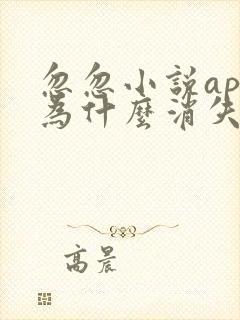 忽忽小说app为什么消失了