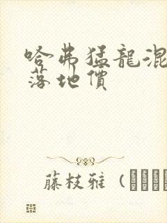 哈弗猛龙混动版落地价