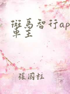 斑马智行app车主