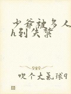 少爷被多人玩弄h到失禁