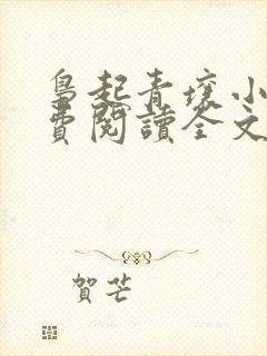 枭起青壤小说免费阅读全文无删减