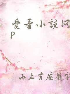爱看小说网app