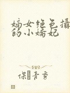 嫡女绝色摄政王的小娇妃 嫡女绝色摄政王的小娇妃