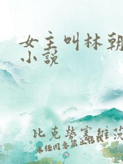 女主叫林朝夕的小说