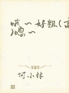 哦～好粗(高h)嗯～