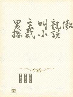 男主叫龙傲天的总裁小说
