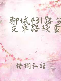 聊城431路公交车路线查询