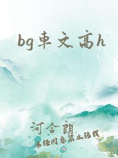 bg车文高h