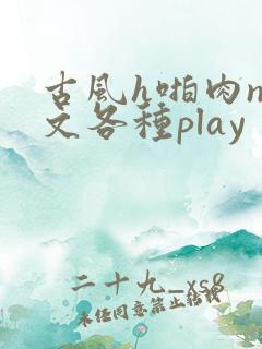 古风h啪肉np文各种play