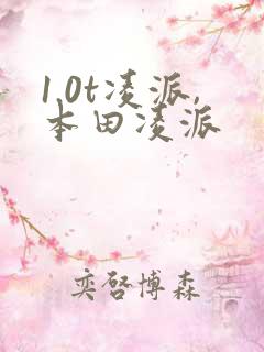 1.0t凌派,本田凌派