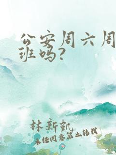 公安周六周日上班吗?