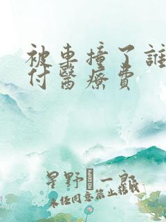 被车撞了谁先垫付医疗费