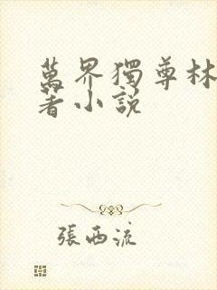 万界独尊林枫原著小说