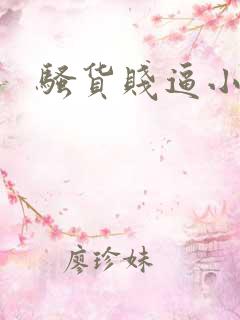 骚货贱逼小说
