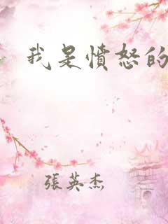 我是愤怒的小说