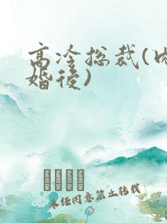 高冷总裁(肉h婚后)