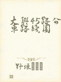 大兴45路公交车路线图