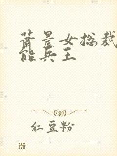 萧晨女总裁的全能兵王
