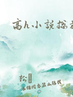 高h小说总裁文