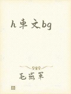 h车文bg