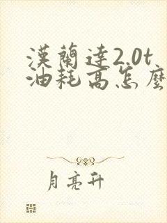 汉兰达2.0t油耗高怎么解决
