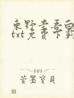 东野圭吾白夜行txt免费下载