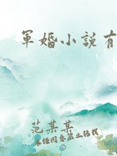 军婚小说有肉