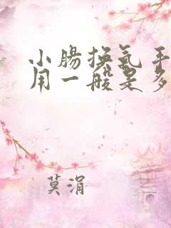 小肠换气手术费用一般是多少钱