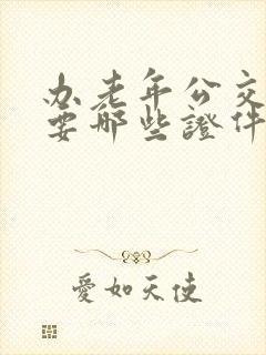 办老年公交卡需要哪些证件