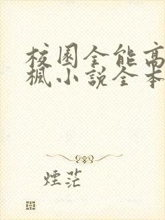 校园全能高手季枫小说全本免费