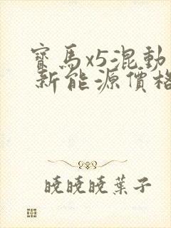 宝马x5混动版 新能源价格