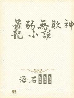 最弱无败神装机龙 小说