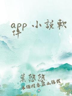 app 小说软件