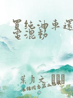 买纯油车还是油电混动 买纯油车还是油电混动