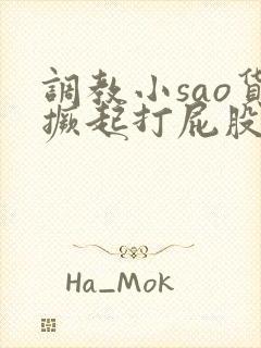 调教小sao货撅起打屁股视频