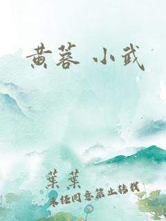 黄蓉 小武