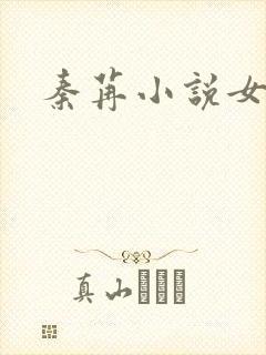 秦苒小说女主