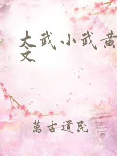 大武小武黄蓉原文