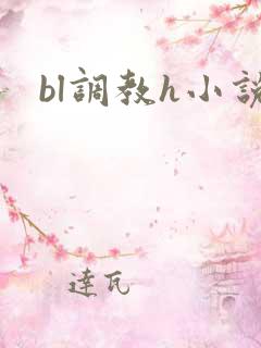 bl调教h小说