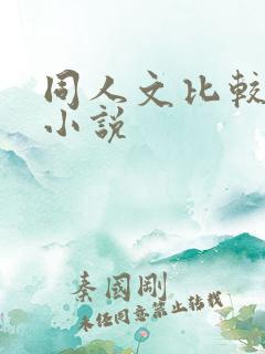 同人文比较多的小说