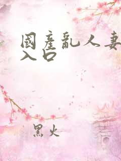 国产乱人妻精品入口