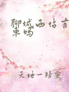 聊城西站有公交车吗