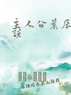主人公叶辰的小说