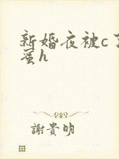 新婚夜被c了闺蜜h